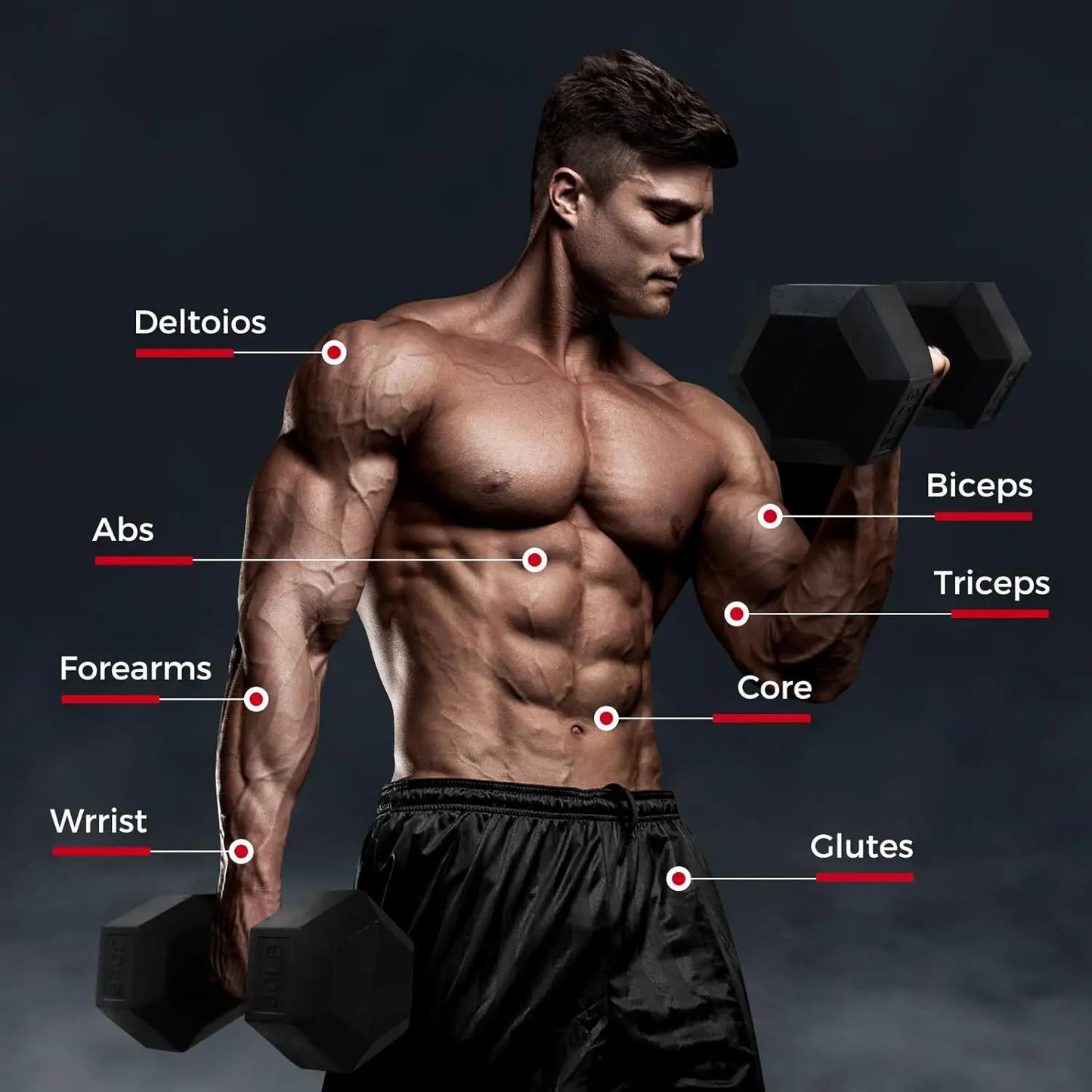 Rubber Hex Dumbbell Set With Optional Rack For Home Gym