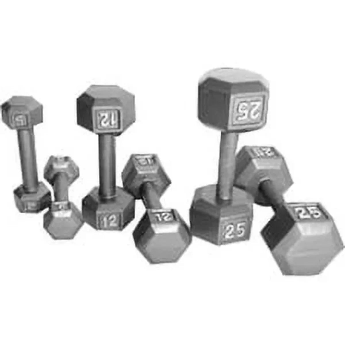 Cast Iron Hex Dumbbell For Home Gym And Strength Training