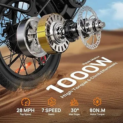 Urlife 1000W E20 Electric Bike Removable Battery Dual Disc Brake