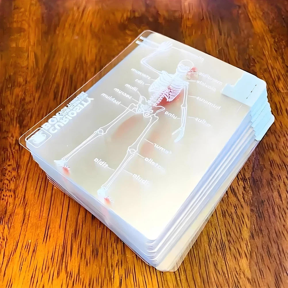 Body Deck Anatomy Reusable Transparent Playing Cards for Anatomy Enthusiasts