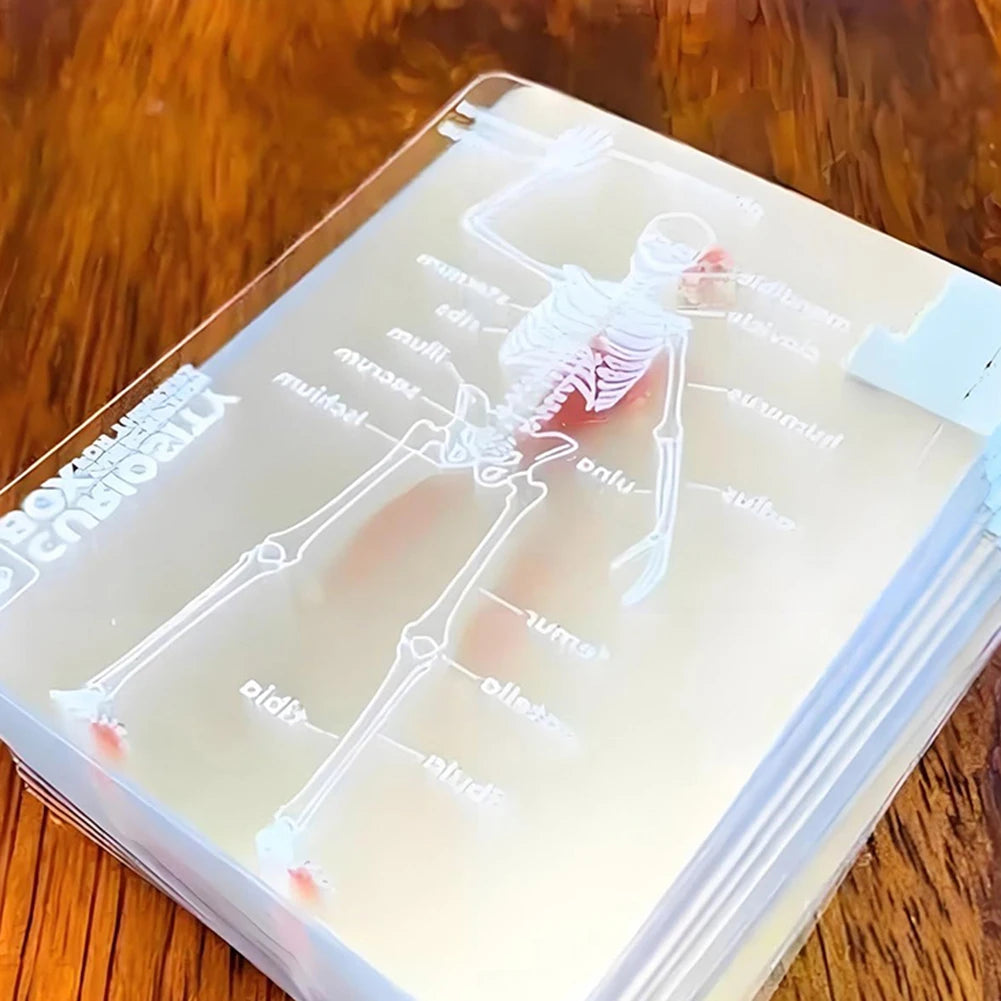Body Deck Anatomy Reusable Transparent Playing Cards for Anatomy Enthusiasts