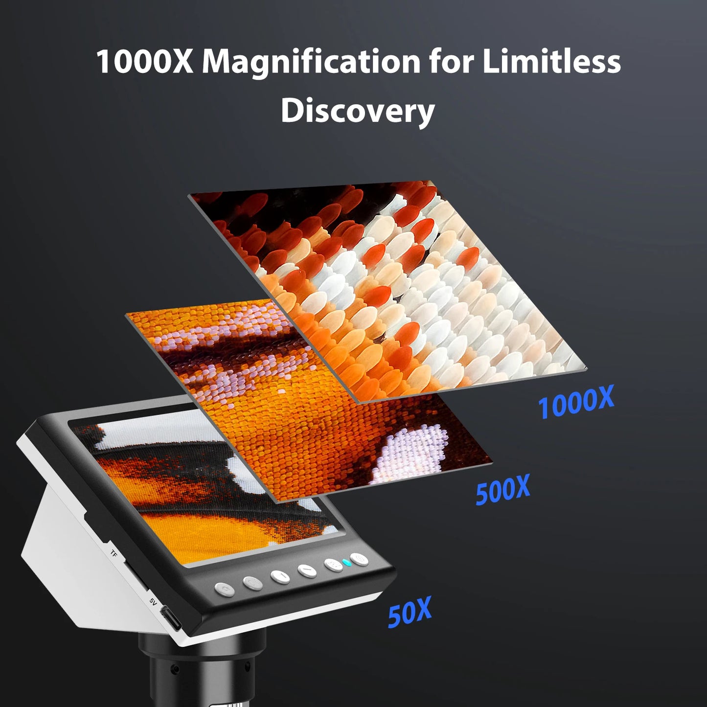 Hayve Digital Microscope 1000X With 8 LEDs And PC View